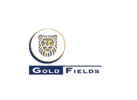 GOLD FIELDS